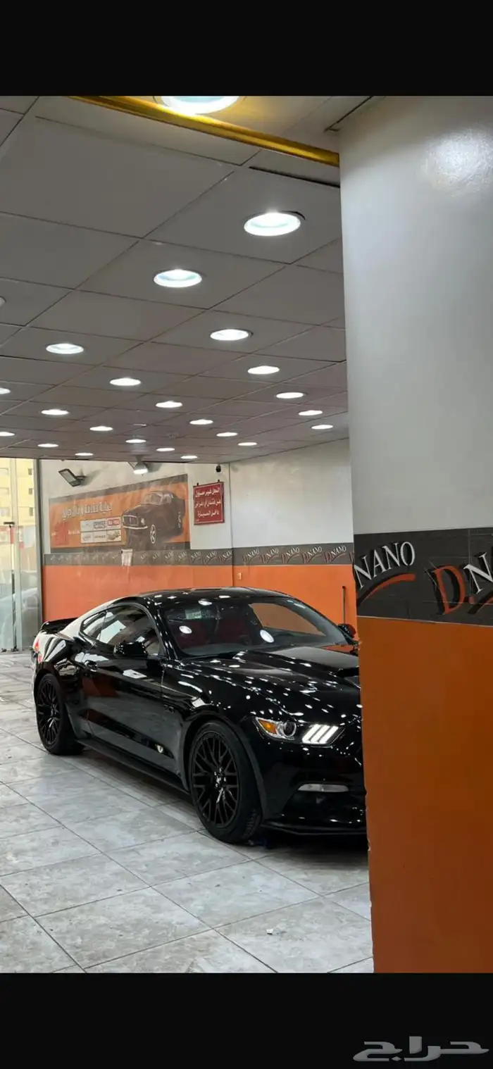 موستنق 5.0 2015 8