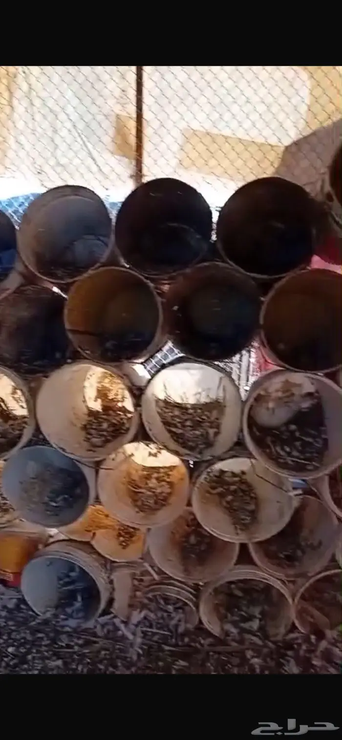 عشة حمام سطول وحديد قوي 0