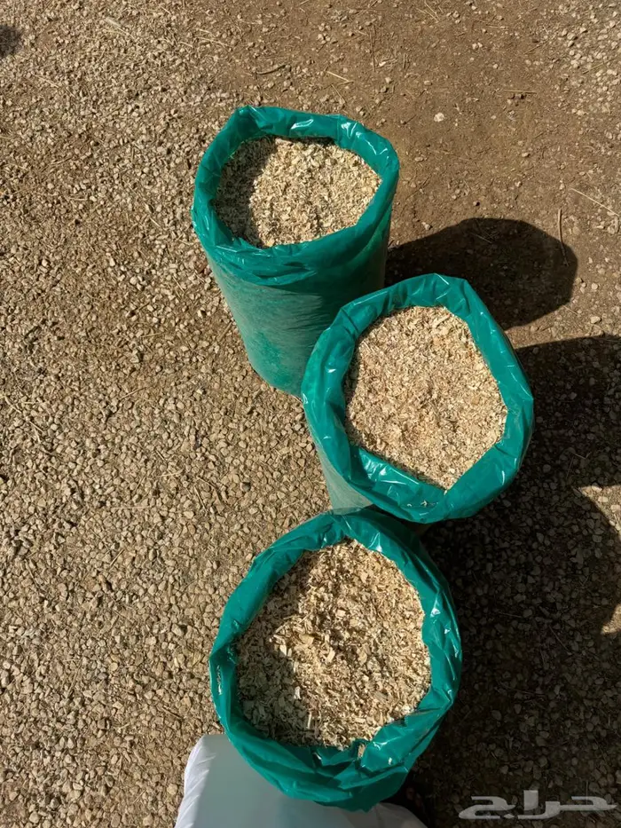 نشارة للبيع 10