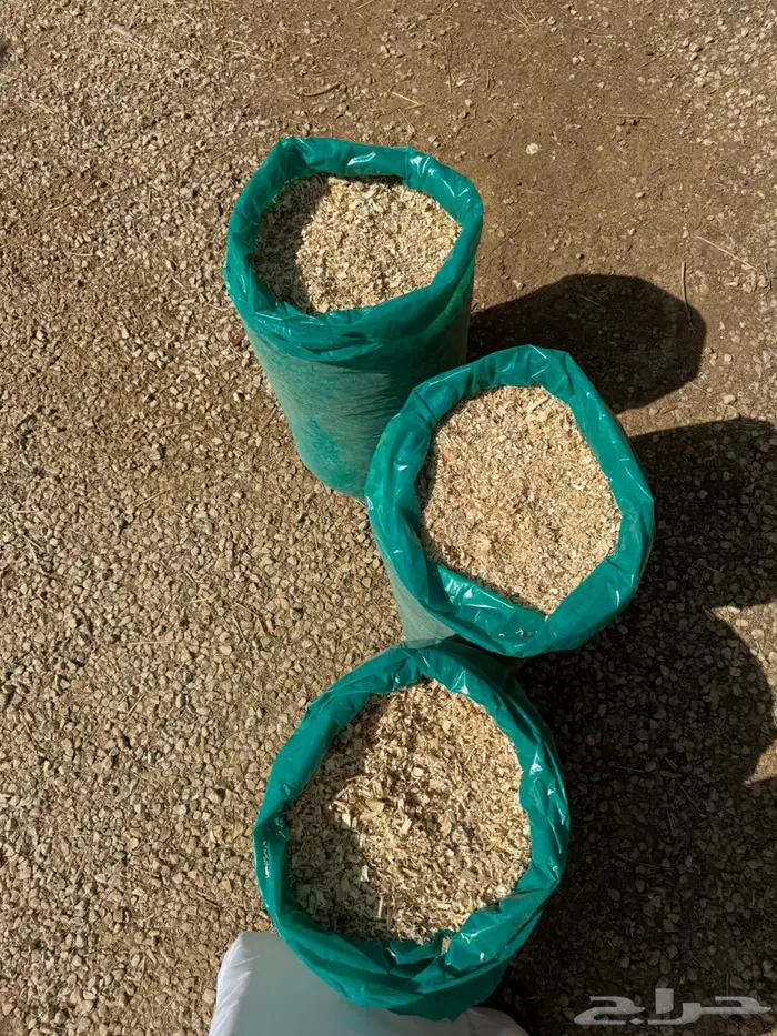 نشارة للبيع 11