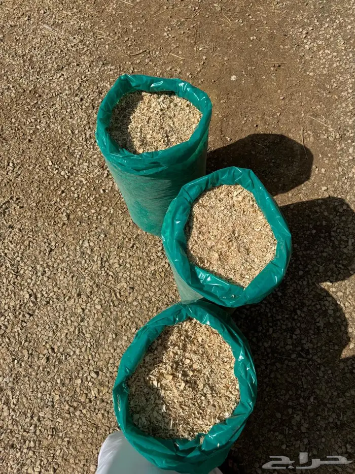 نشارة للبيع 0