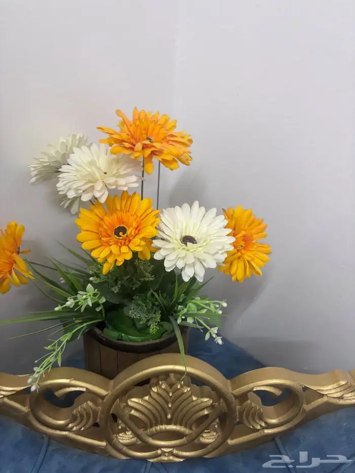 مجلس 3