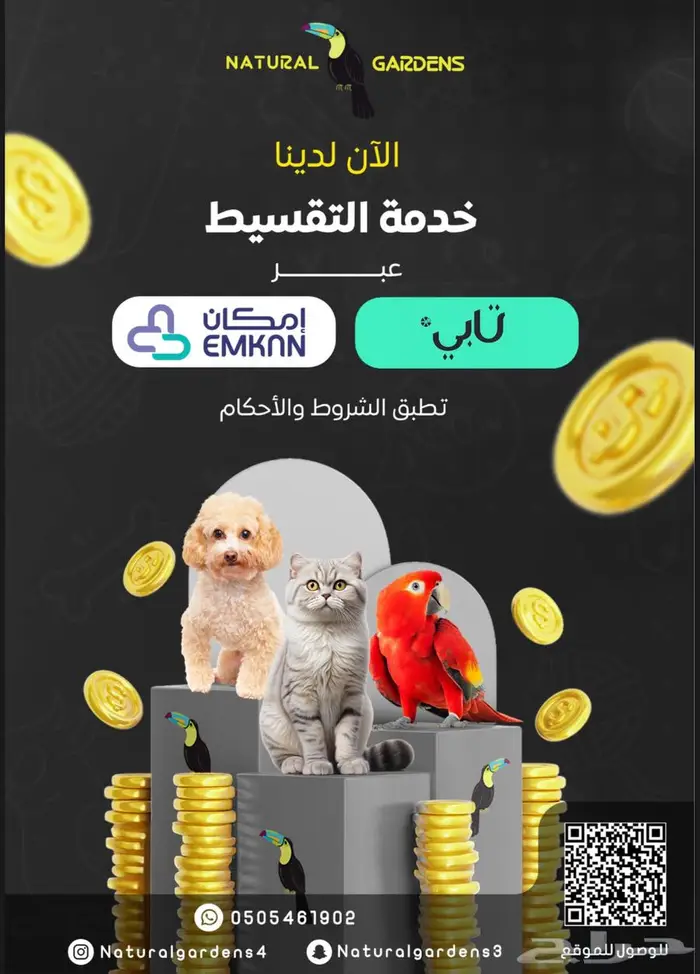 شيواوا تي كب مسجلين بالمنظمة FCI 9