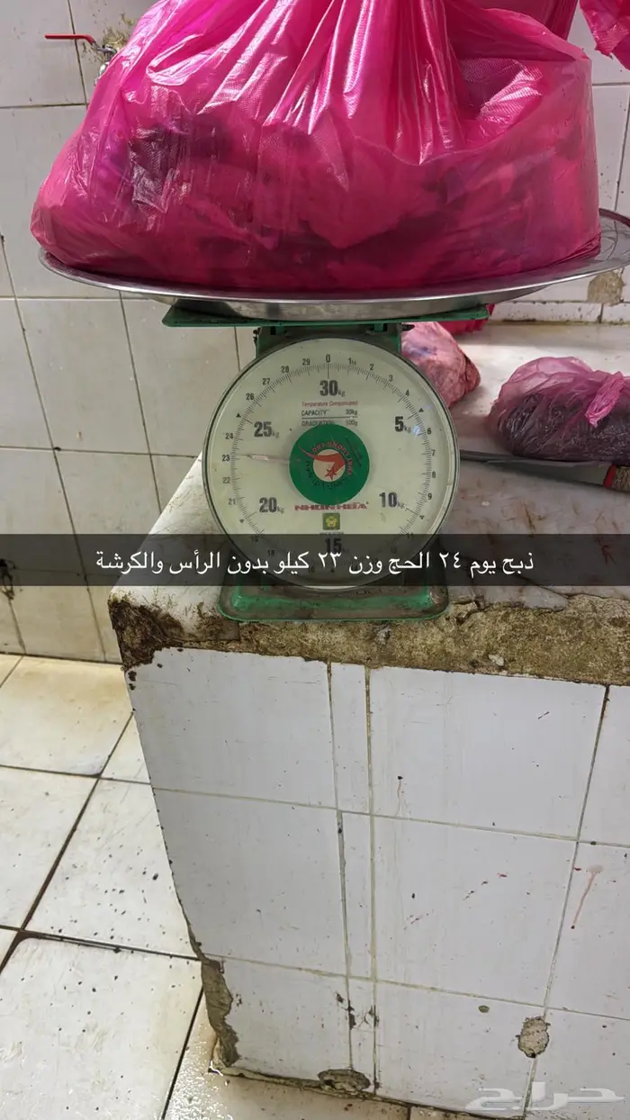 سواكن جذعان ذبيحتك لباب بيتك بسعر مميز 2