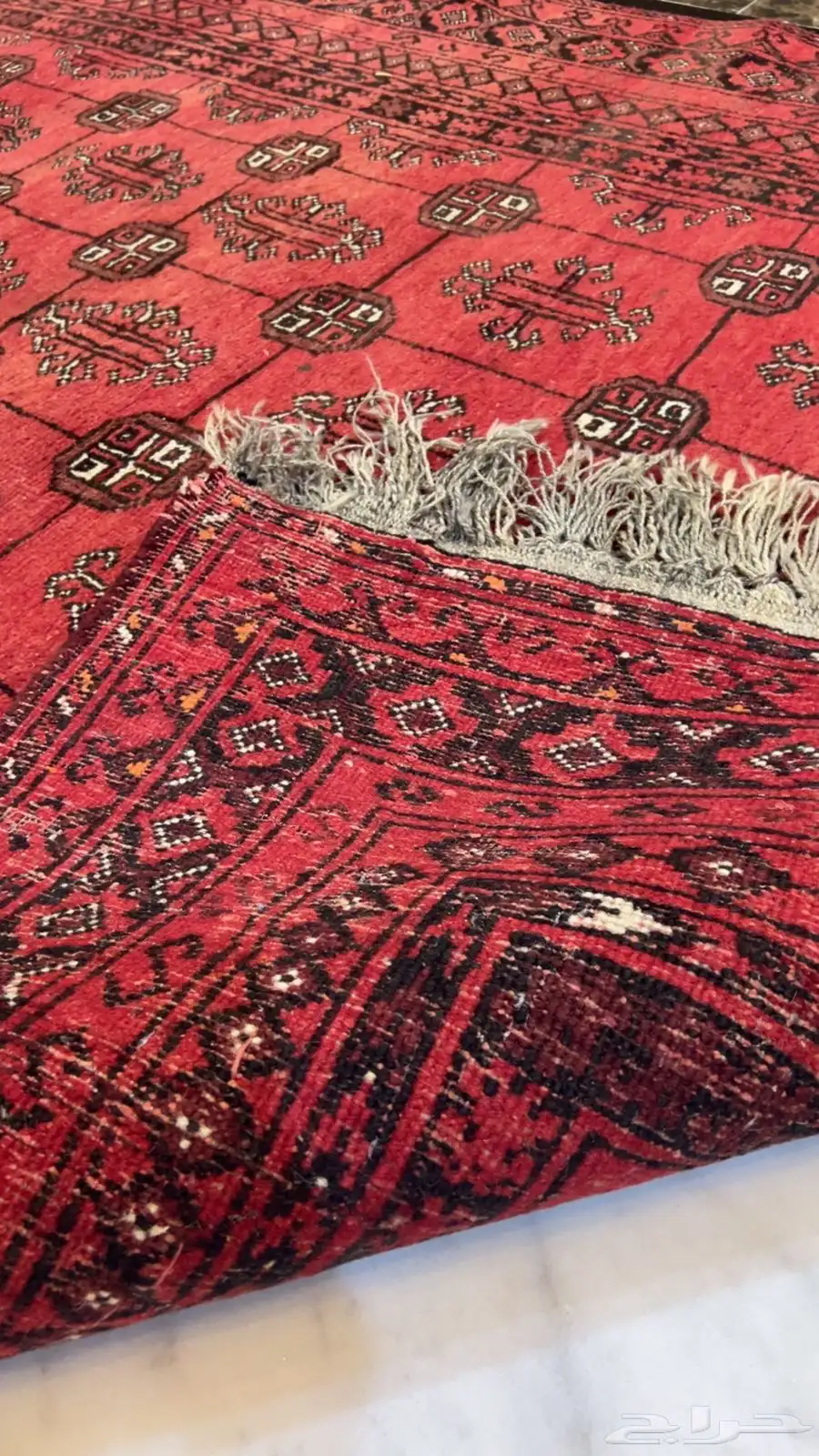 سجاد قديم 2