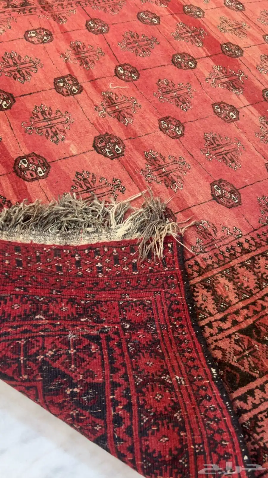 سجاد قديم 1