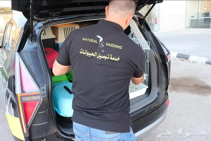 شيواوا تي كب مسجلين بالمنظمة FCI 8