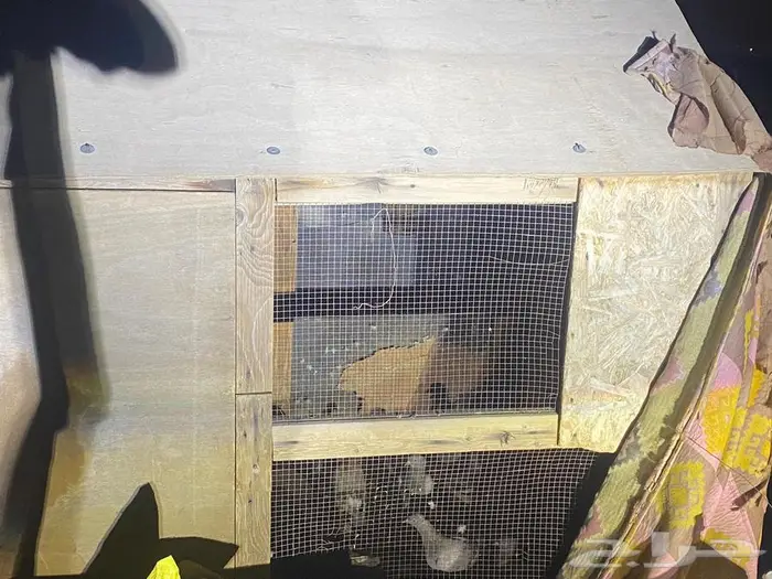 عشت حمام فيها 13 زوج 2