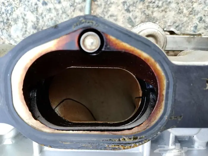 قطع بانوراما 12