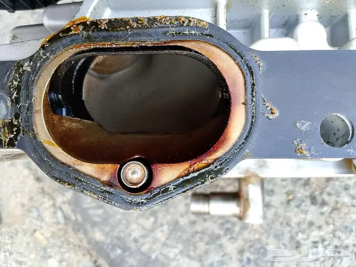 قطع بانوراما 15