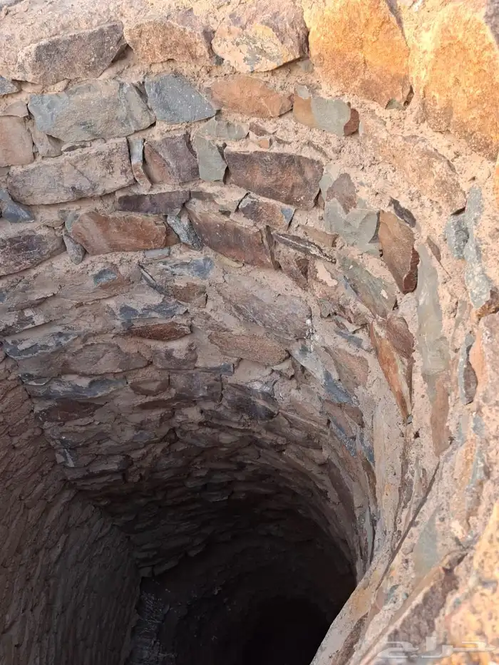 مزرعة للبيع 1