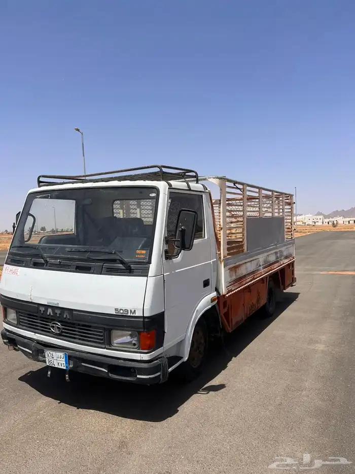 دينا تاتا هندي موديل 2006 2