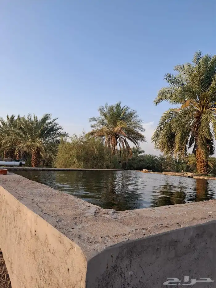 مزرعة للبيع 7