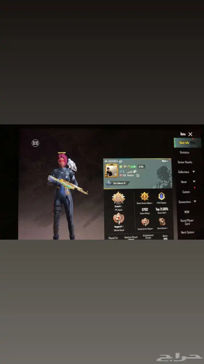 حساب ببجي للبيع 1
