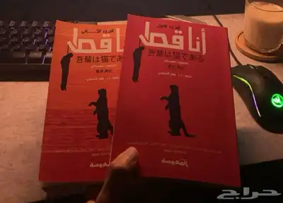 رواية أنا قط اليابانية (كتاب) 0