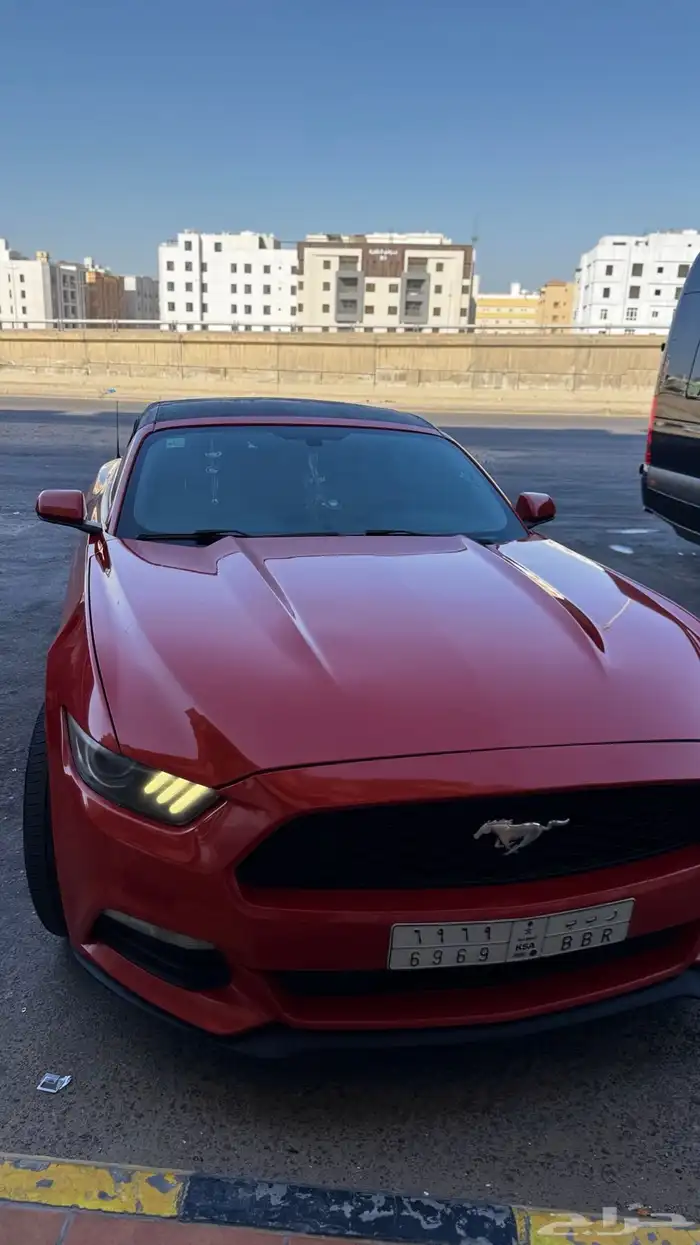 موستنج 2016 كشف 0
