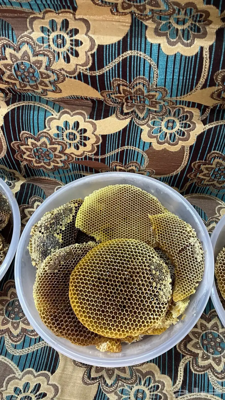 عسل طلحة اقراص انتاج 1446 4