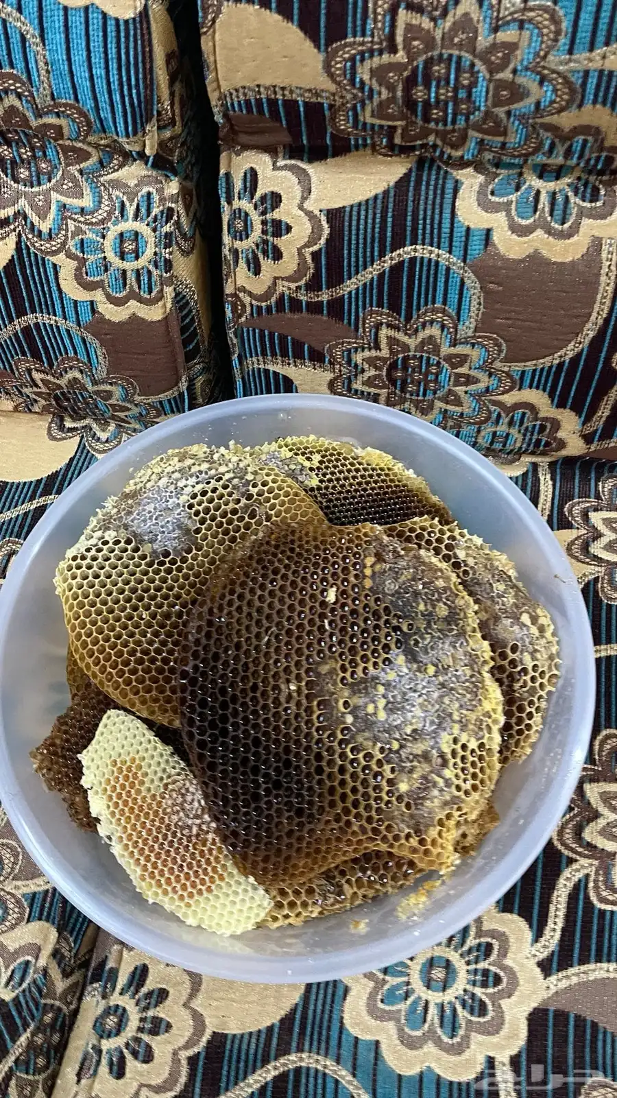 عسل طلحة اقراص انتاج 1446 10
