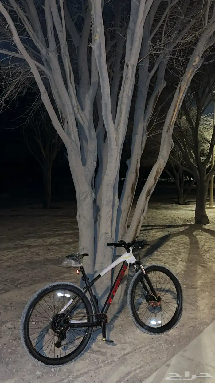 مارلين5 2025 1