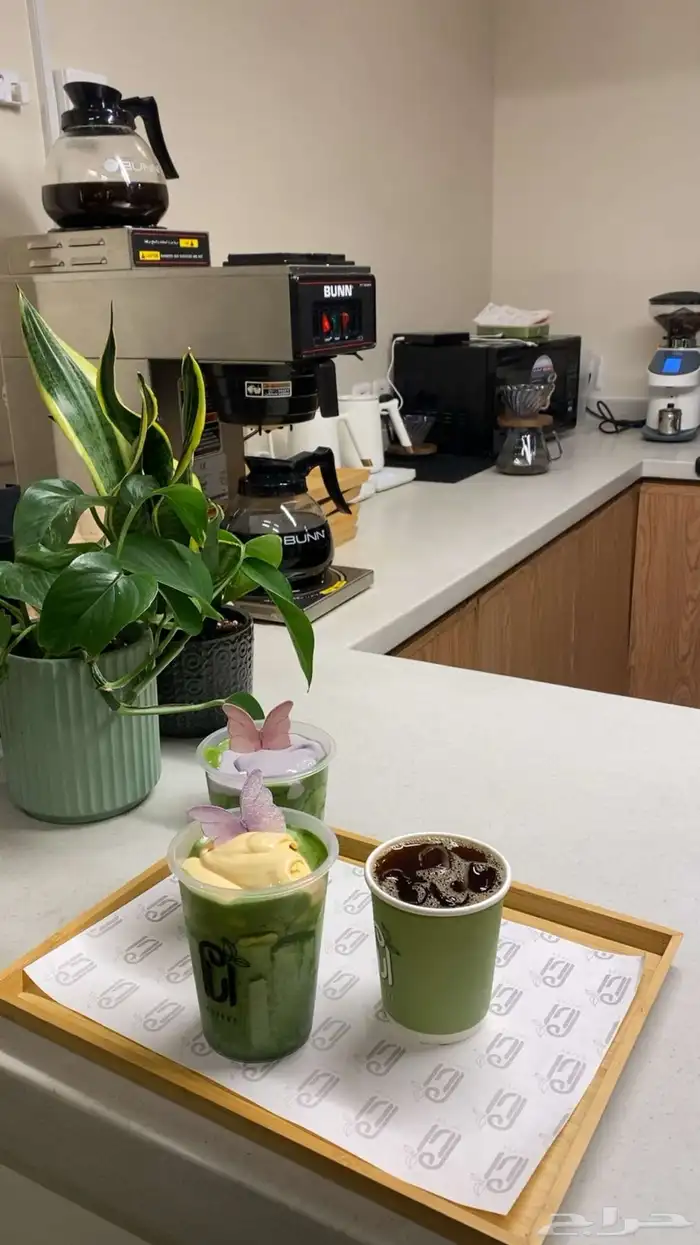 مصور وداعم للحسابات في مواقع تواصل الاجتماعي 6