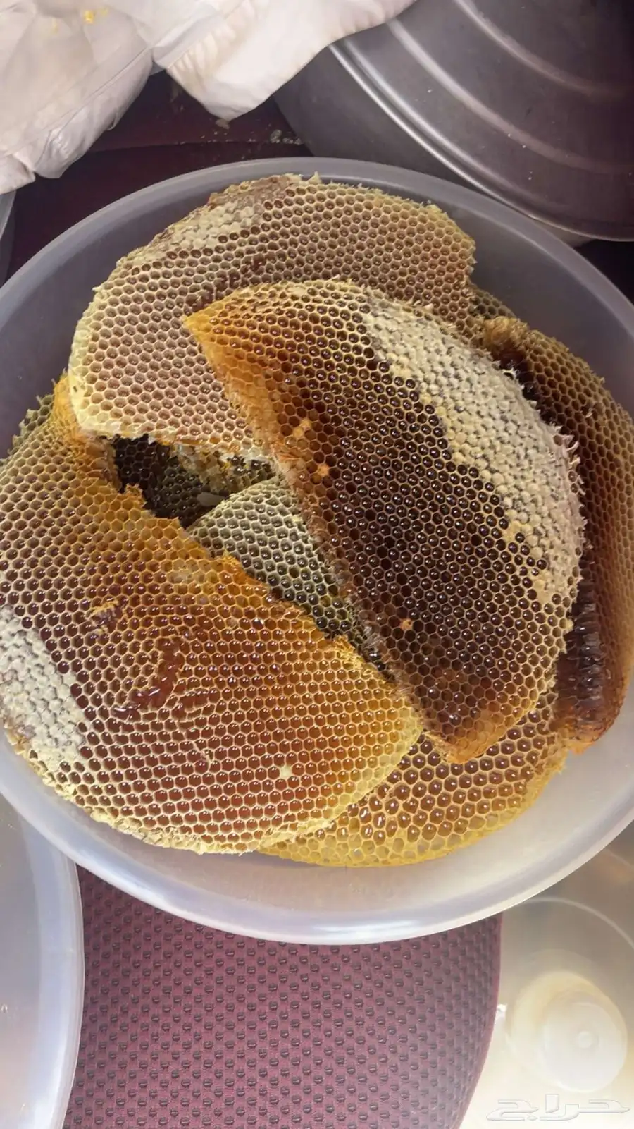 عسل طلحة اقراص انتاج 1446 1