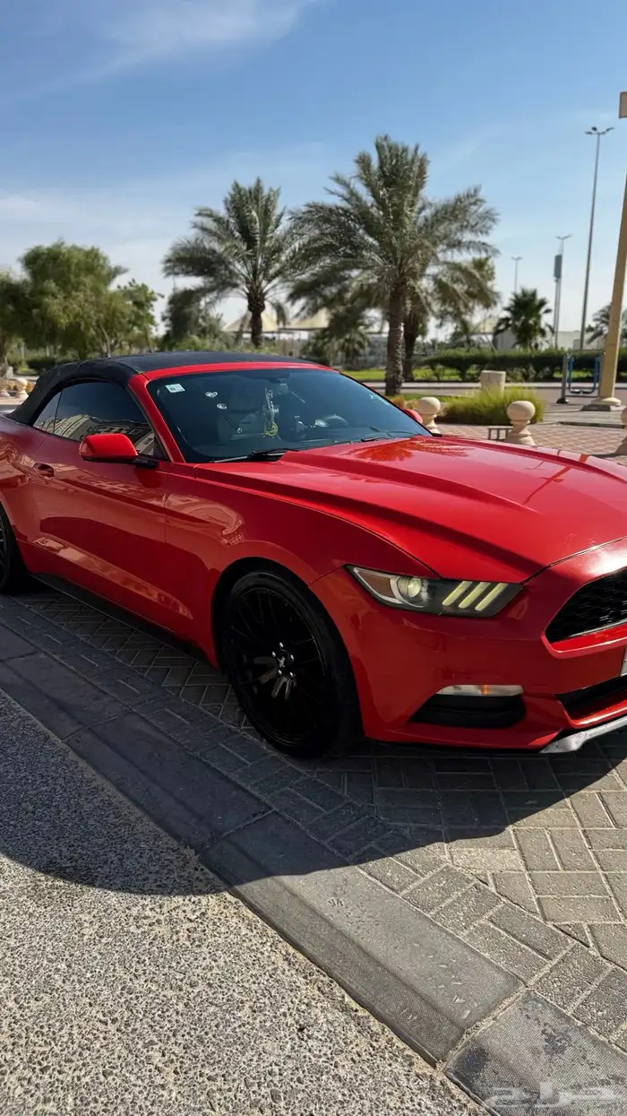 موستنج 2016 كشف 8