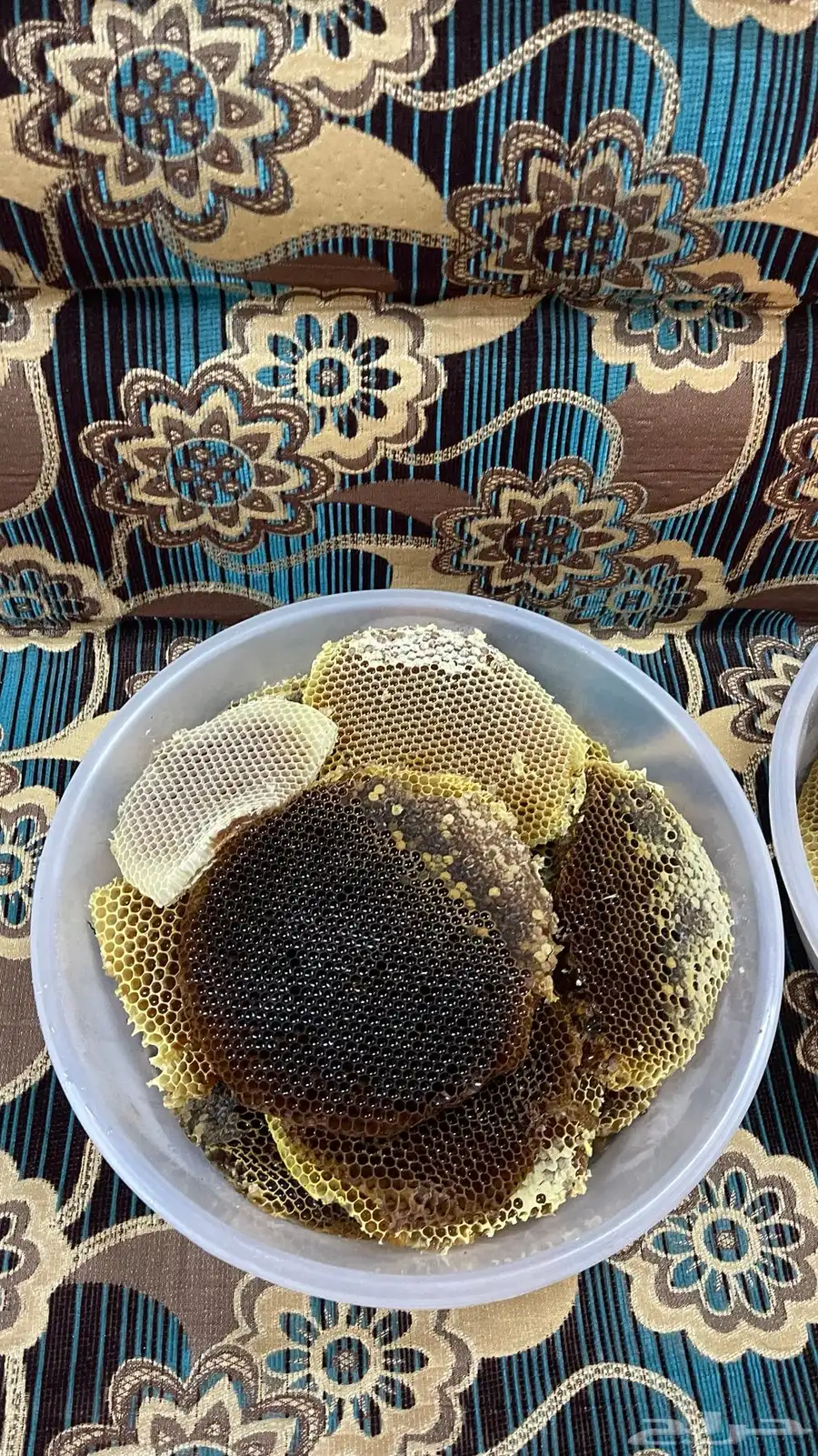 عسل طلحة اقراص انتاج 1446 11