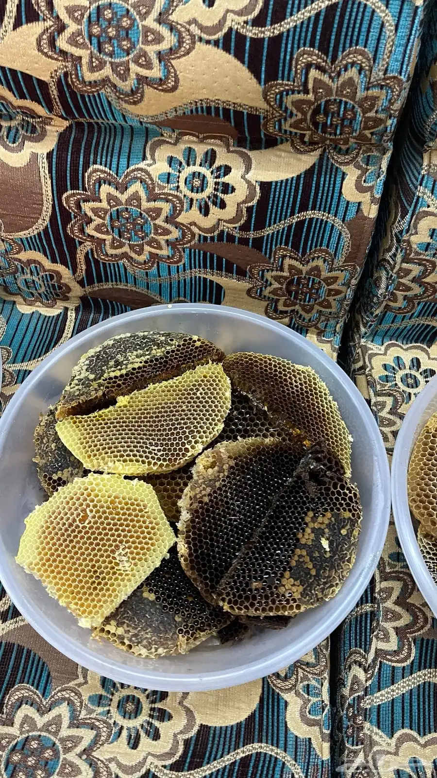 عسل طلحة اقراص انتاج 1446 7