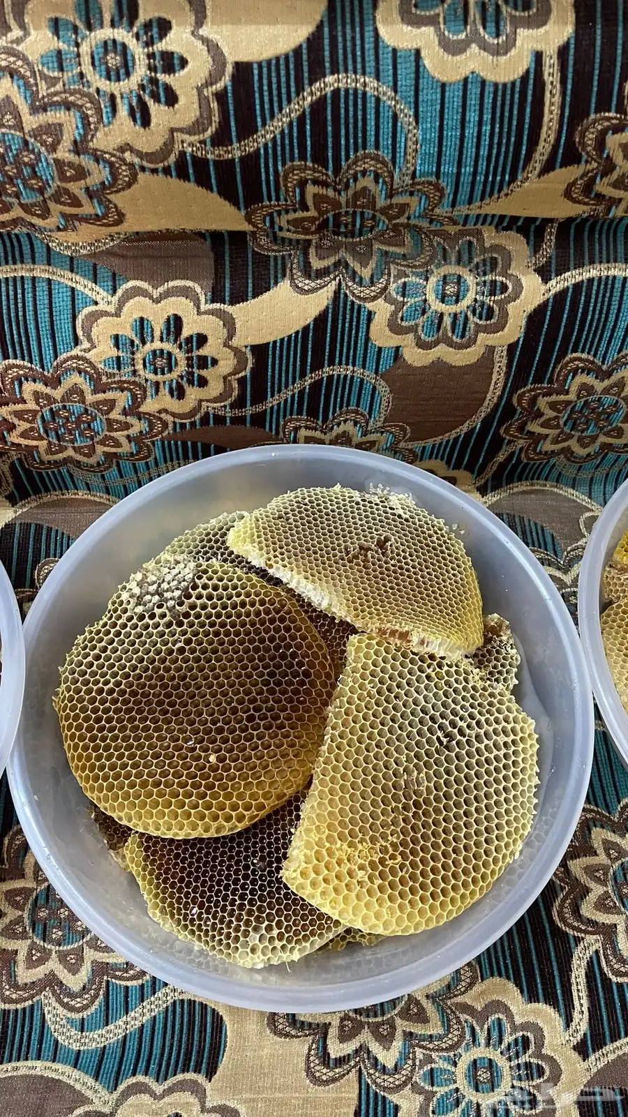 عسل طلحة اقراص انتاج 1446 5