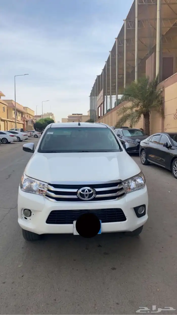 هايلقس 2018 هندل سلق 0