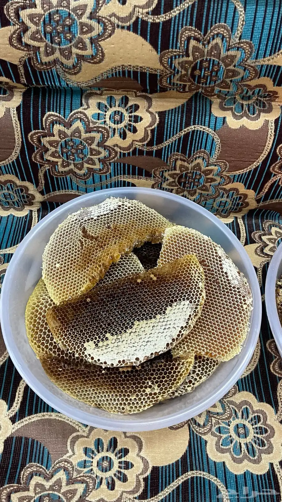 عسل طلحة اقراص انتاج 1446 8