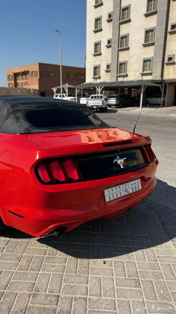 موستنج 2016 كشف 14