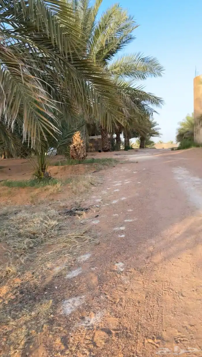 للبيع مزرعة بروض جبة 22