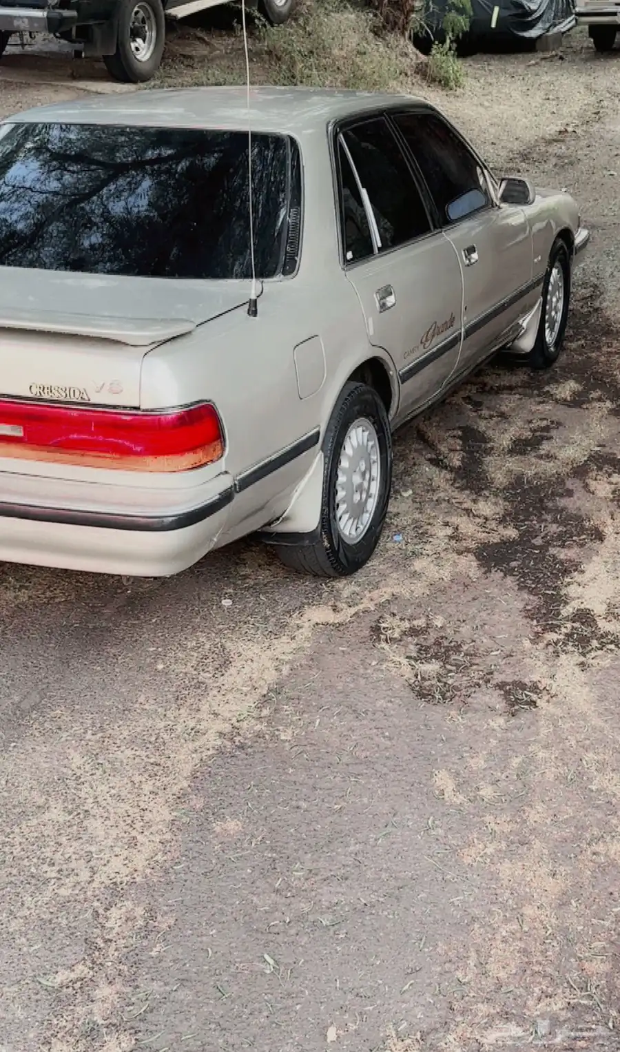 عسير عسير 11