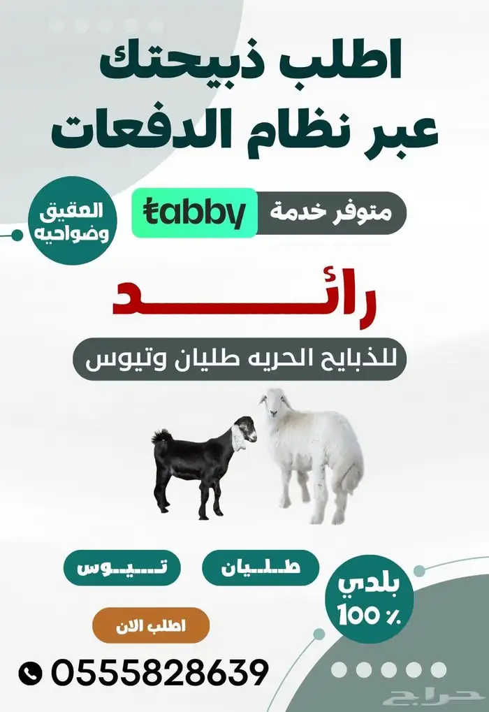 طليان ورخال للمناسبات العقيق الباحة 2