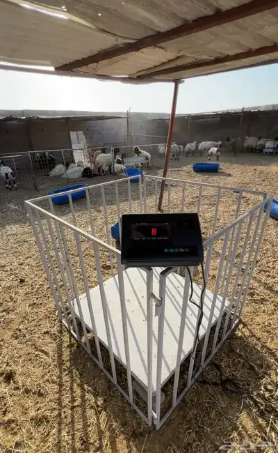 ميزان مواشي 1 طن 1