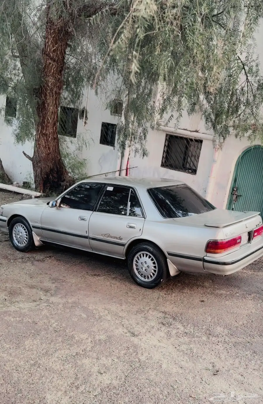 عسير عسير 12