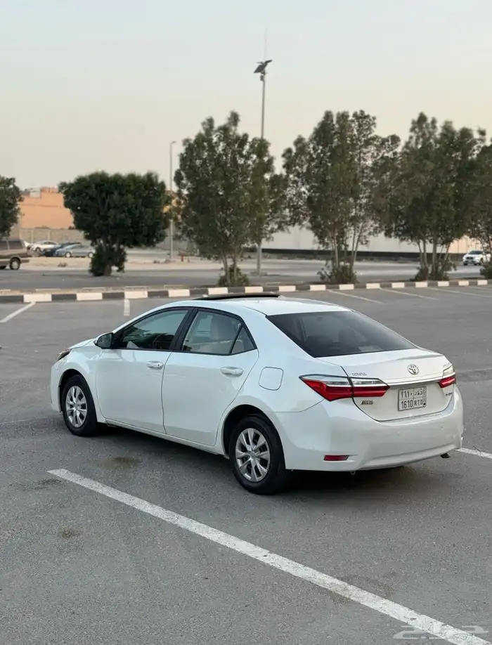 تم البيع 5