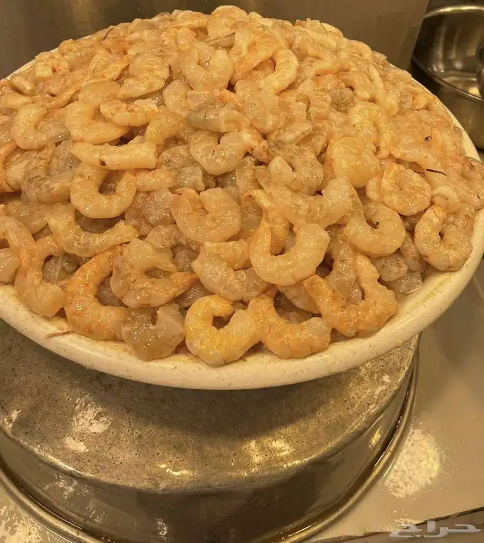 للبيع اسماك سمك وروبيان 15