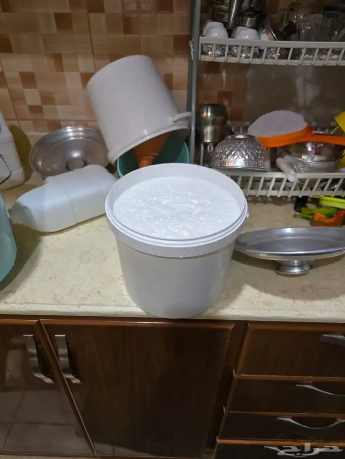 بقره ناتج 1