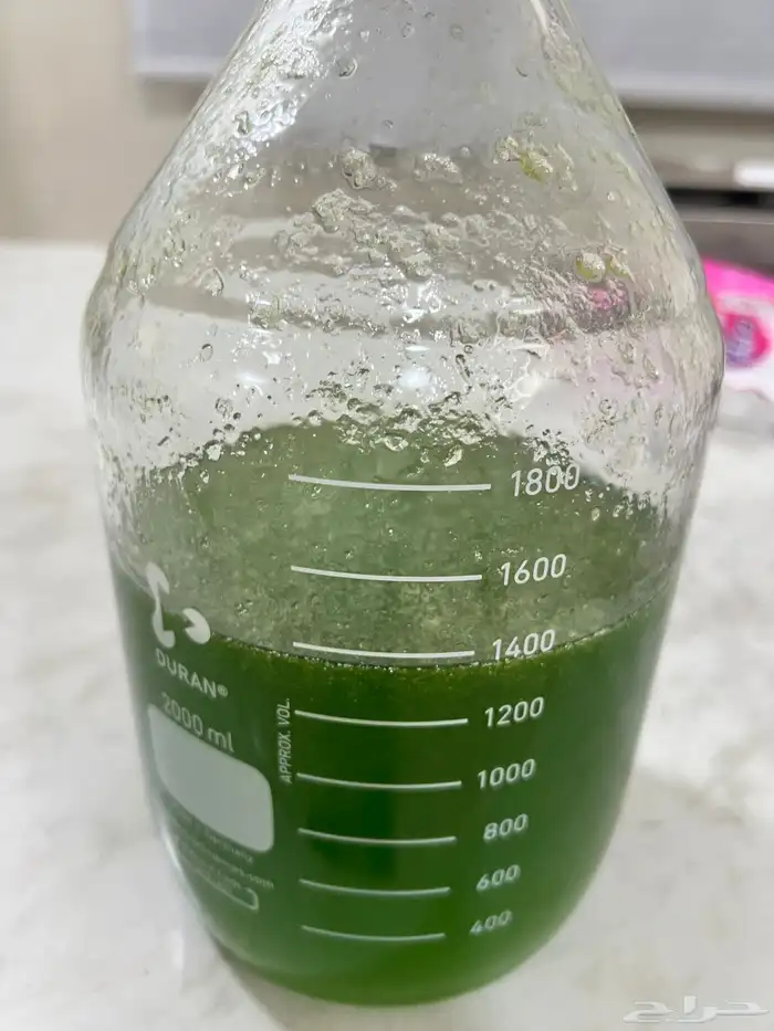 عرض ورد كاشاني 0