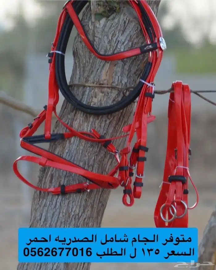 مستلزمات خيل 14