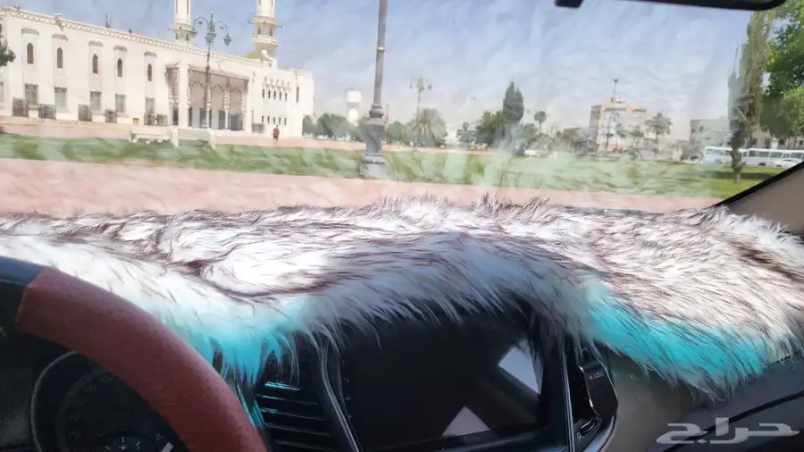 سنتافي 2014 7