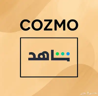 نتفلكس وغيرها من اشتراكات 1