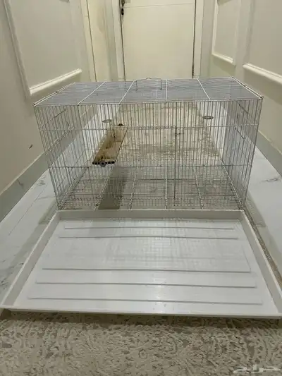 قفص مطير 3