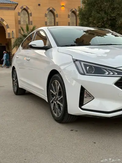 النتر 2019 شبة جديد 1