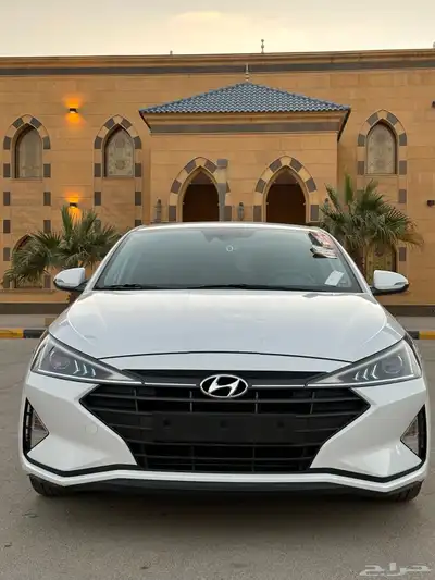 النتر 2019 شبة جديد 0