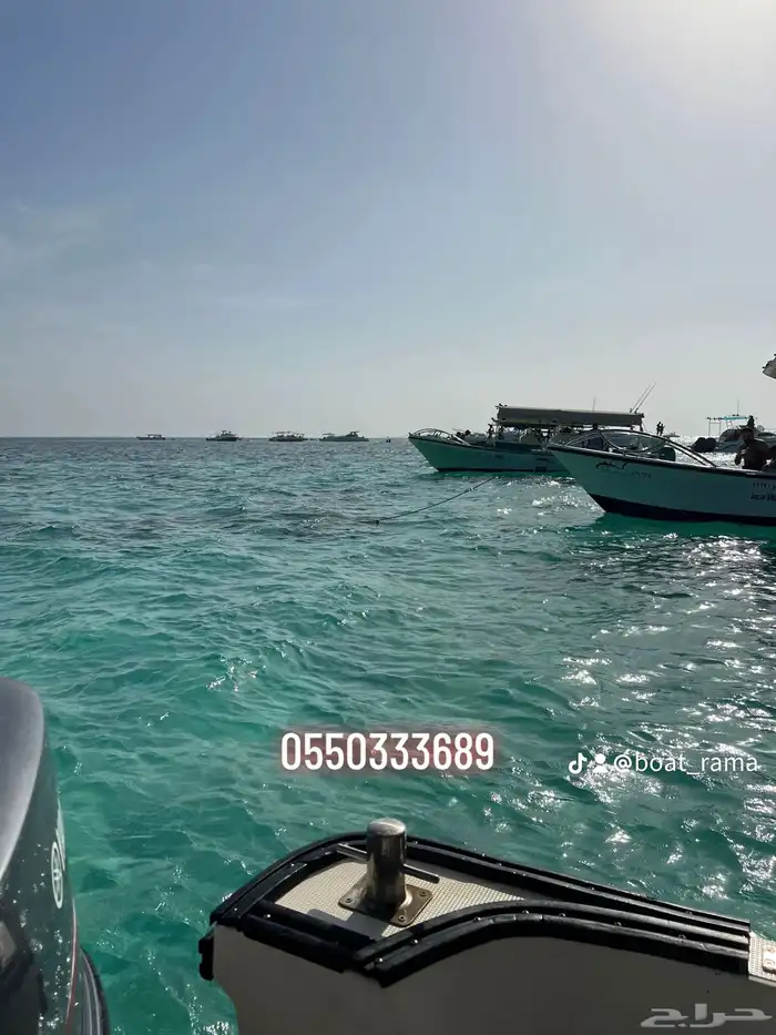 عروض بياضة و صيد و بياضة نسائية فردي 5