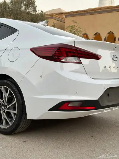 النتر 2019 شبة جديد 7