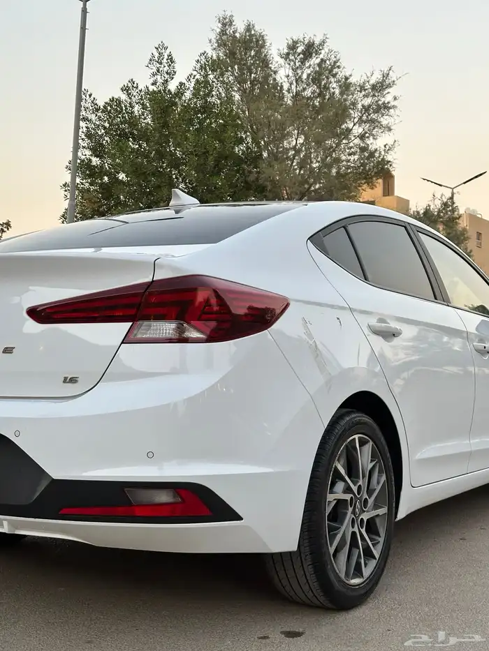 النتر 2019 شبة جديد 6